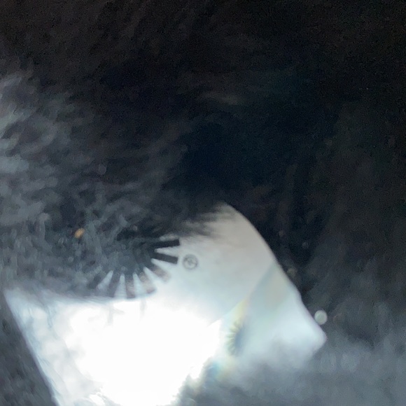 UGG Classic Disquette Black Sheepskin Slippers - Picture 8 of 9